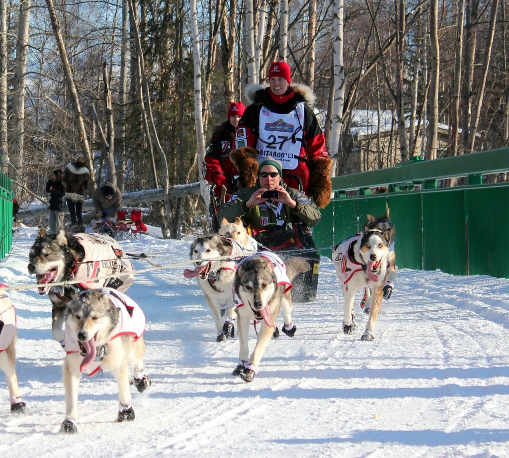 Iditarod 2025: Navigating Challenges and Upholding Tradition